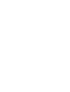 sistema de intrusion blanco