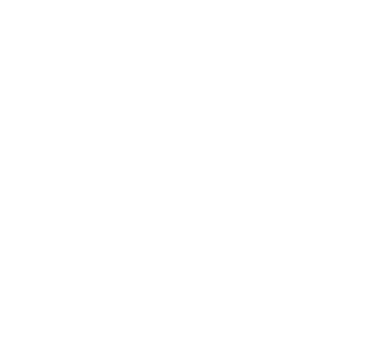 videovigilancia blanco